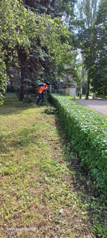 Василий Ткачук: Муниципальным унитарным предприятием администрации г. Донецка "Зеленое строительство Калининского района" ведутся работы по уборке клумб и покосу травы по бульвару Шевченко