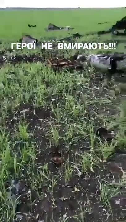 ����� �����: ������������ ���������� ���������� ������� ��������� 9�310�1 ��������� 9�37�1 ���-�1 (���) ����� � �.�. ���������� �������� �������� ����������