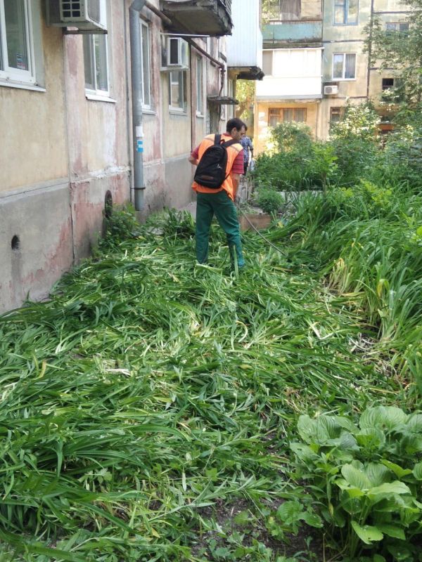 Василий Ткачук: МУП АГД "УК Калининского района г.Донецка" продолжается работа по покосу травы на территории многоквартирного жилого фонда