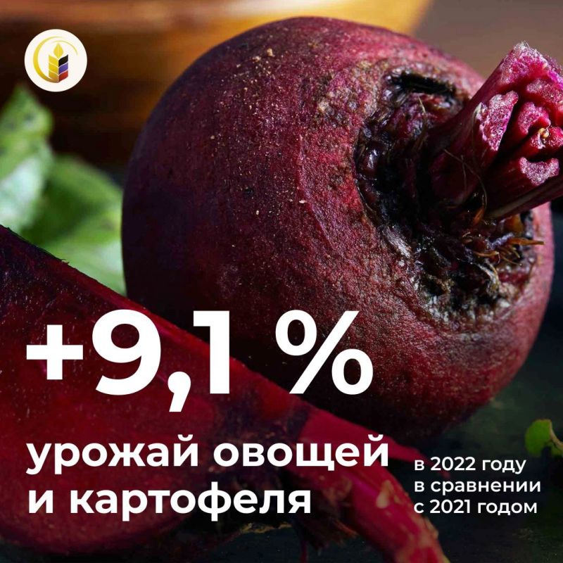 ������� ���� ������ ��������� ������ � ��������� � �������� �������� ���������� � 2022 ���� �������� ������� 5 ����� ����