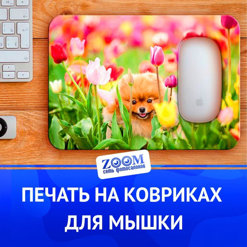 ������ �� ������� ��� ������������ ����� - ����������, �����������, ���������� ������