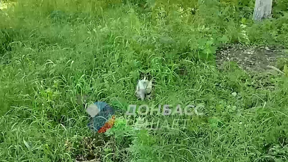 ����� � ���������� ������������ ������� ������������ � �������