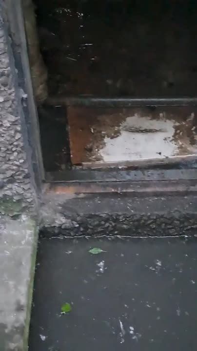 �������� 45,������ ����� ���� ��������� ������ ������, ��� �� ��������� � 17.00 ���� ���� � ��� ��������.�������� ���� ��� ����