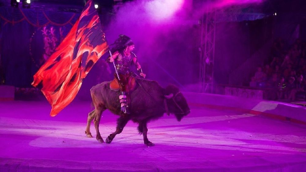 Ростовский цирк все вырученные средства от проданных билетов в Мариуполе передаст цирку в Донецке