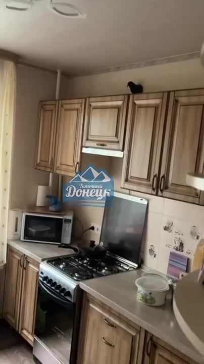 ���������� , ��� � ������������ ������ � ������������ ���� ������ ��������� �� �������������� �����
