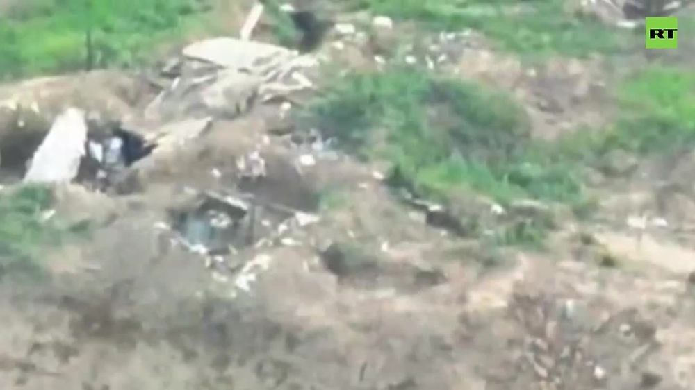 ����� �����: ��������� ������� ������ �� �� ���������� ������� ����� ��� ������ � ����� ����� �� ����-�������� �����������