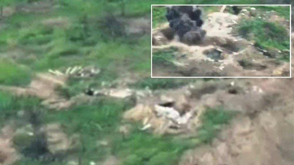 ������� ����� ���������� ���������� ������� ����� �� ����-�������� �����������