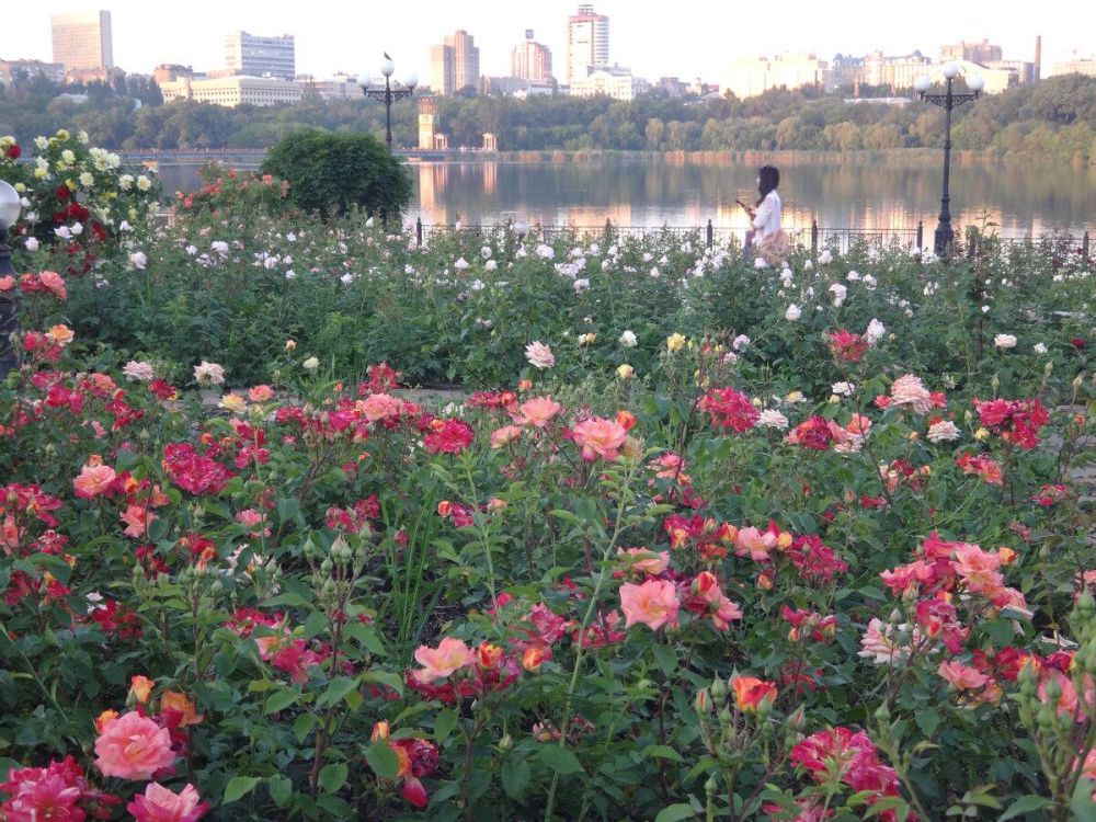 Александр Коц: ВЕЧЕРНИЙ ЗВОН: самые звонкие события уходящего дня