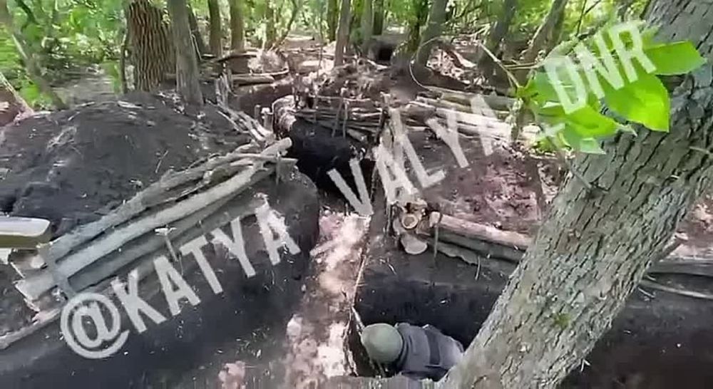 ����� �����: ���������� ������ �� �������� �����������