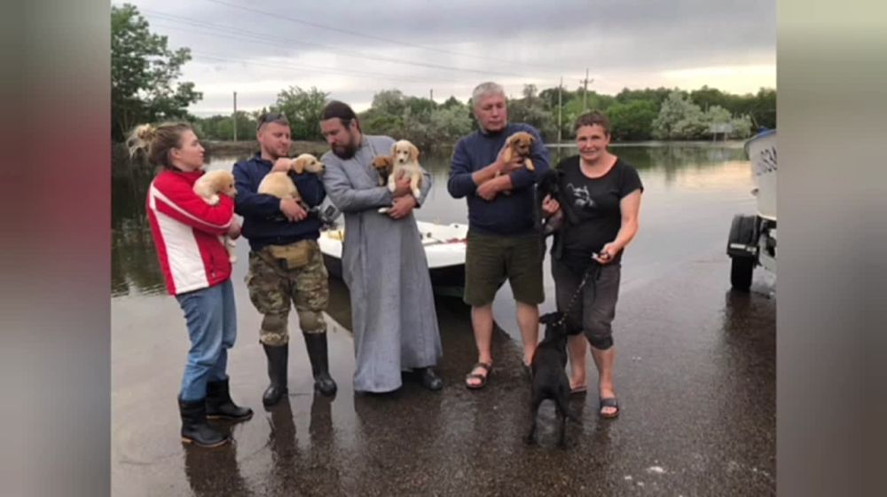 Никита Васильев: - Там еще мои, 6 щенков и мамочка!