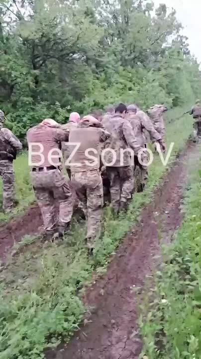 � ���� ������� �� 20 ������ ���