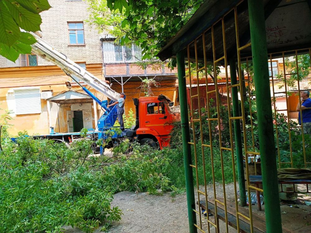 Василий Ткачук: На придомовой территории жилого дома № 73 по бульвару Шевченко ведутся работы по санитарной обрезке ветвей деревьев