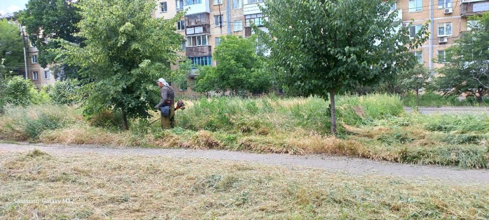 Василий Ткачук: Муниципальным унитарным предприятием администрации г. Донецка "Зеленое строительство Калининского района" продолжается покос травы на разделительной полосе по бульвару Шахтостроителей
