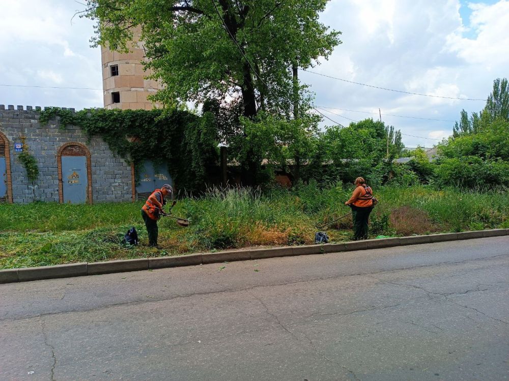 Василий Ткачук: Муниципальным унитарным предприятием администрации г. Донецка "Зеленое строительство Калининского района" организован покос карантинный трав вдоль автодорог по улице Овнатаняна и улице Владычанского