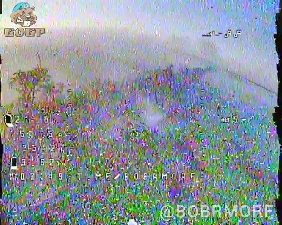 ��������� ���������� ������������ �� ����������� ����������� � ������� FPV ������