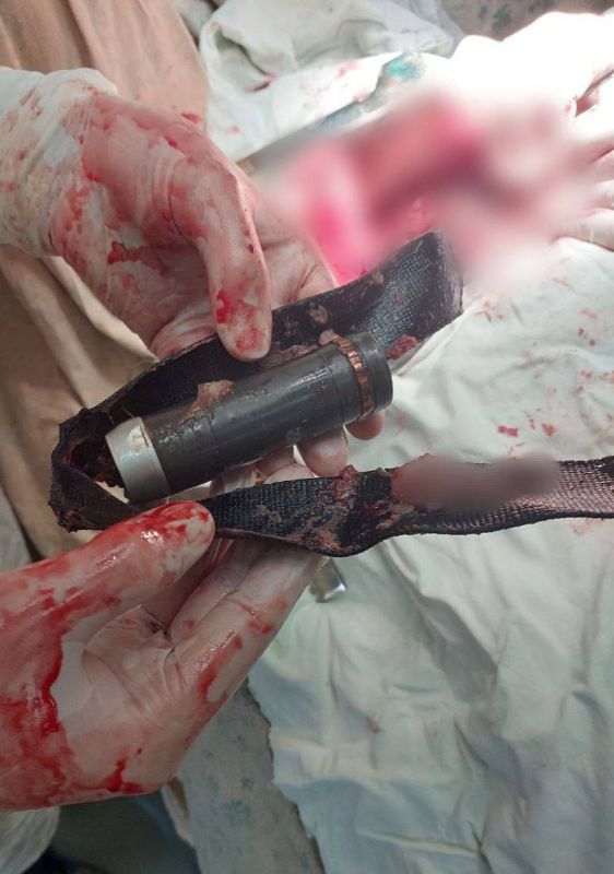 ��������� ���: ����� ��������� ������������ ���������������� ������������ ����������� � ���� ���������������� �������� ������ �������� � �������� � �����