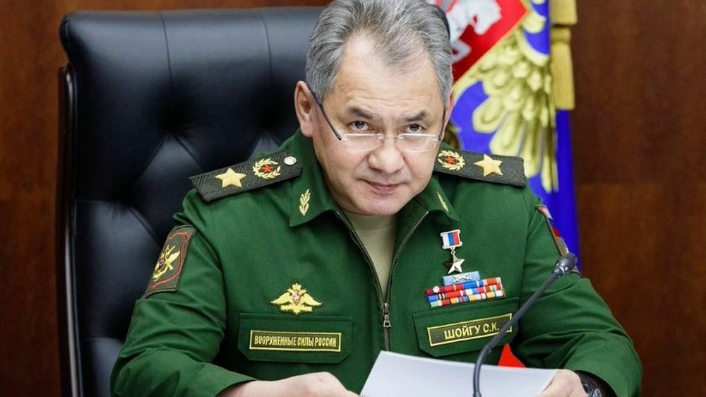 Шойгу заявил, что российские войска отразили 263 атаки ВСУ с 4 июня 2023