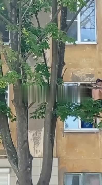 � ������������ ������ ����� ���� ����� ������� � ������ ����� ����.