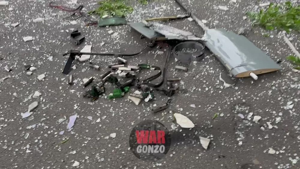 WarGonzo: ������������ ������������, ���������� �� ���� � ������ �������
