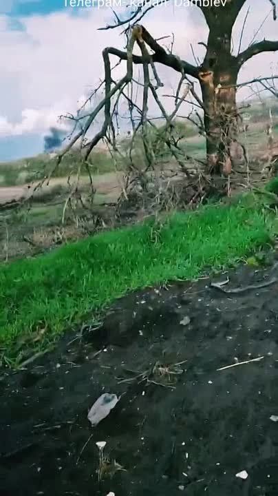 ������� �������� ������������ ������� ���