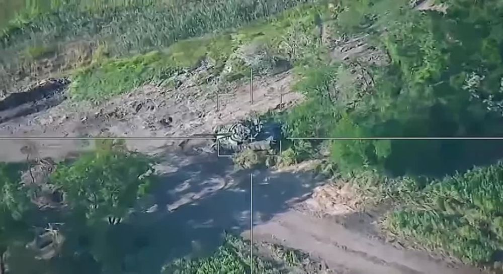 ��������� ���: ������ ����� ��� ��������� ����� �� ����-�������� �����������