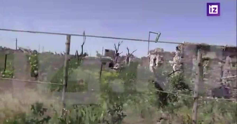 � �������� �� �������� ����� ����� ����� ��������� ���