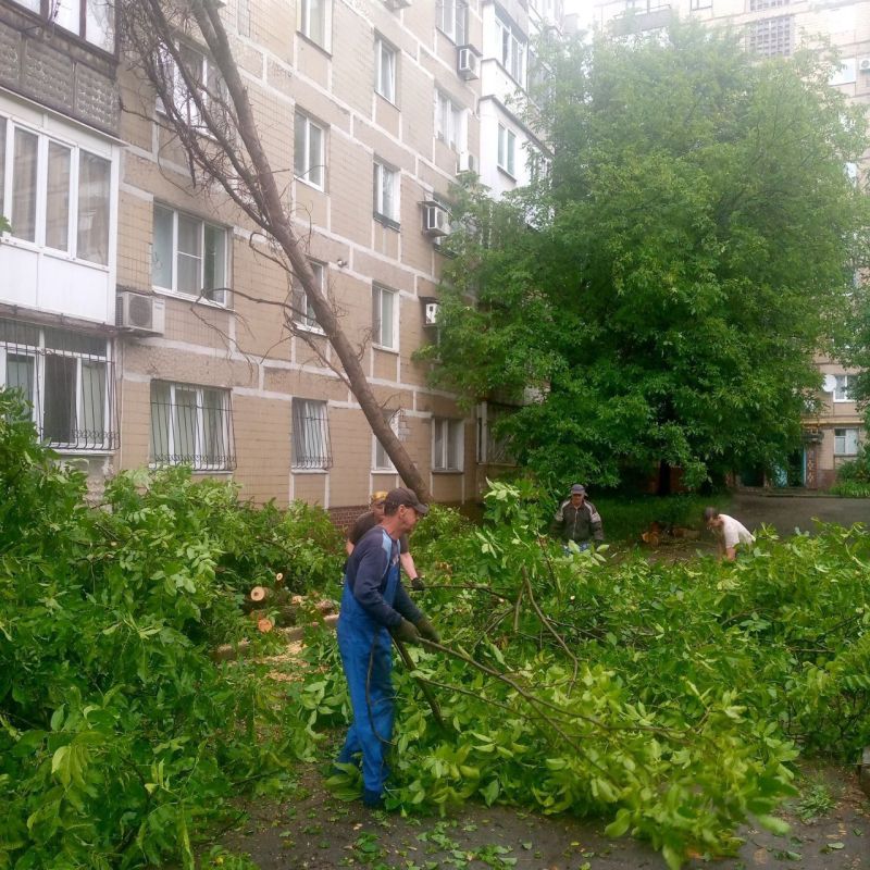 Василий Ткачук: Силами муниципального унитарного предприятия "Управляющая компания Калининского района г. Донецка" ведутся работы по уборке упавшего дерева по адресу ул. Моцарта, дом 5 с привлечением спецтехники (вышка)