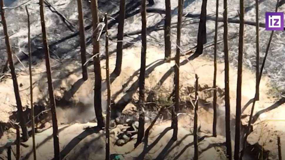 ���������� ��������� ��������� � ������ ������� ��� ��� �����������