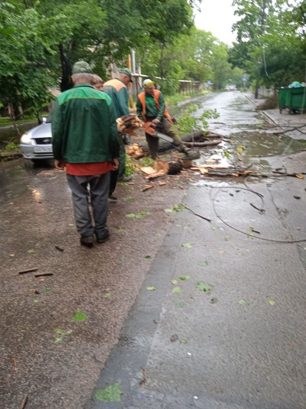 Василий Ткачук: Муниципальным унитарным предприятием администрации г. Донецка "Зеленое строительство Калининского района" выполнены работы по распилу упавшей ветки на дорогу по улице Разенкова, 13