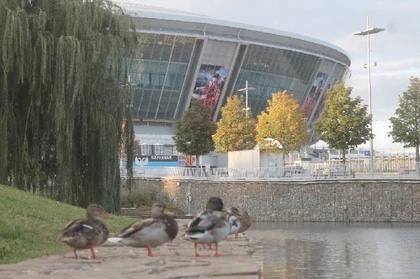 Москва поможет разработать проектно-сметную документацию по ремонту «Донбасс Арены» в Донецке