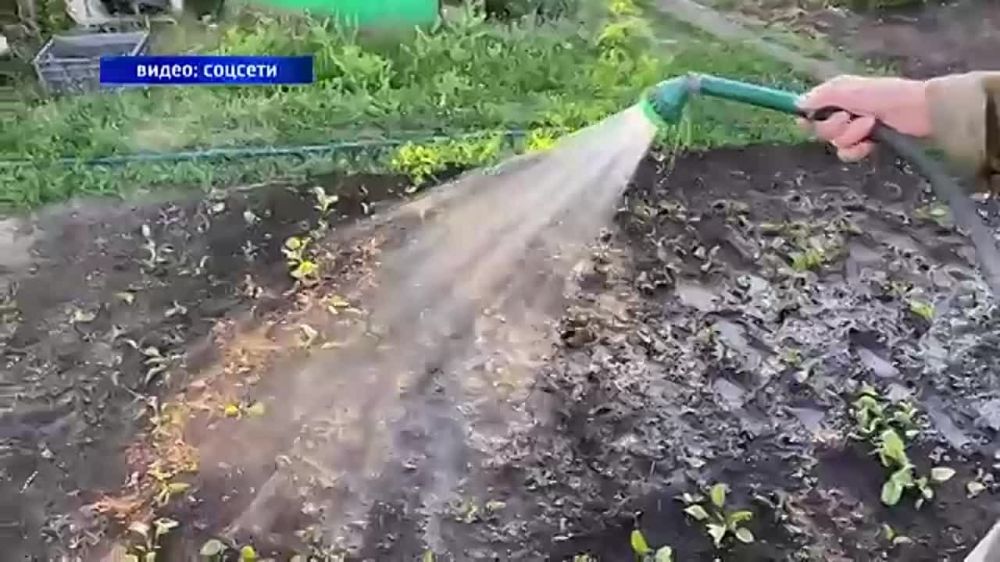 ������ ����� �� ���� ������ ������� �� ������ ���� � ������ - ��� � ��� ���!�