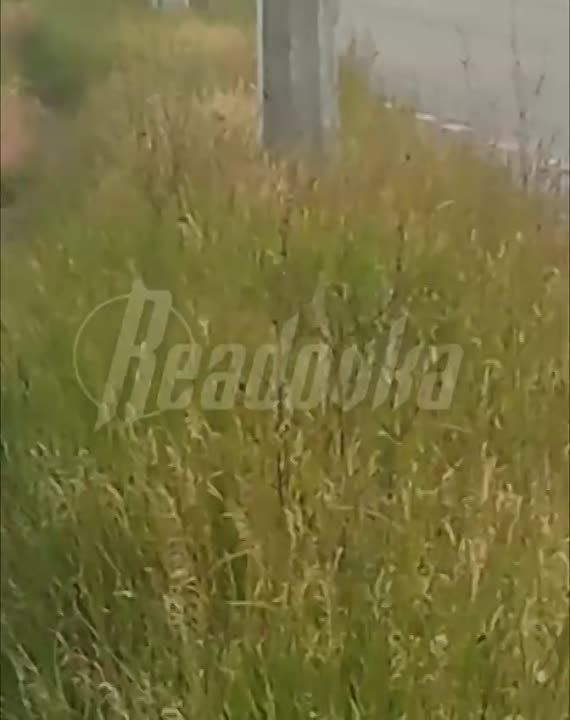 ��� ������� ���� ������ ����� �������� ������� � �������, ����������������, ���� ������