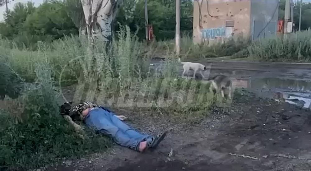 � ������� �� ��� ��� ��������