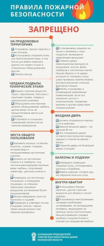 Виктория Хощенко: ОГОНЬ, КОТОРЫЙ НЕ ВО БЛАГО