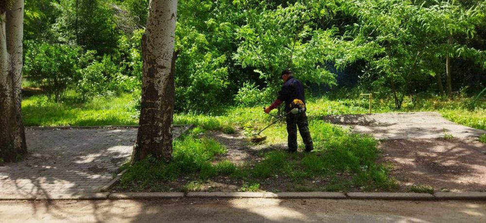 Василий Ткачук: Силами муниципального унитарного предприятия "Управляющая компания Калининского района г. Донецка" продолжается работа по покосу травы, произрастающей на территории многоквартирного жилого фонда