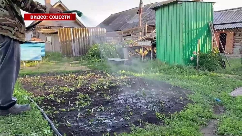 ������ ����� �� ���� ������ ������� �� ������ ���� � ������ - ��� � ��� ���!�