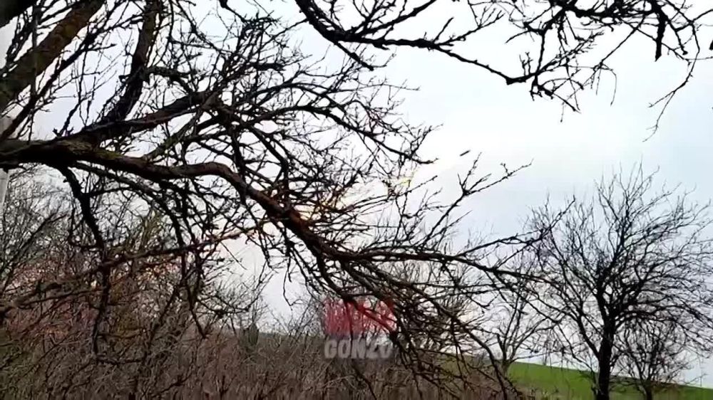 WarGonzo: 2 ���� ���� ������� ��������� ��� ������ �������� � ��� ����� ����� ��� ������� ����� ������ �������� ��� ������������, ������� � ����