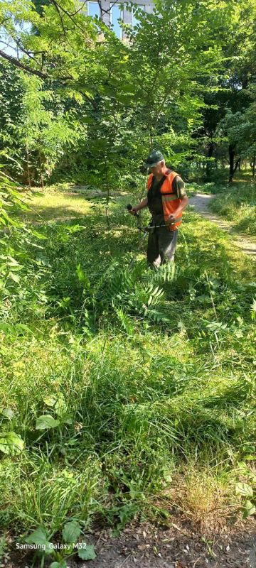 Василий Ткачук: Силами Муниципального унитарного предприятия администрации г. Донецка "Зеленое строительство Калининского района" продолжаются работы по покосу травы на территории сквера "Строителей" в Калининском районе г. Донецка