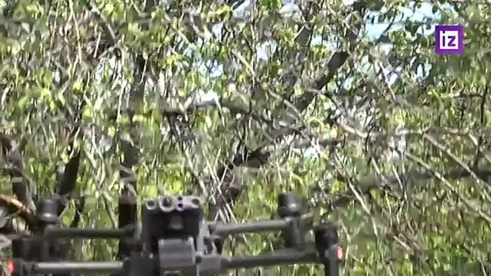 �������� 1-�� ��������� ���������� ������� ������� �������� �� ���������� �����������