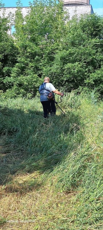 Василий Ткачук: Муниципальным унитарным предприятием администрации г. Донецка "Зеленое строительство Калининского района" продолжаются работы по покосу травы на территории парка "Строителей" в Калининском районе г.Донецка