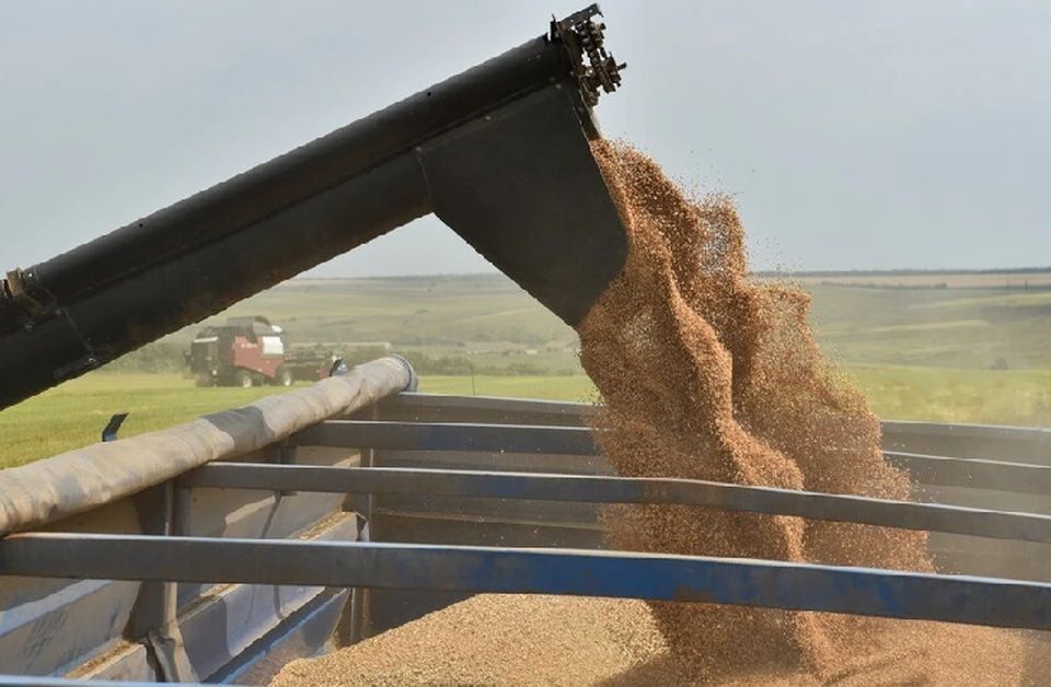 В ДНР стартует уборочная кампания