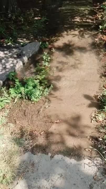 ������������ 25.. ��� ������������!!!