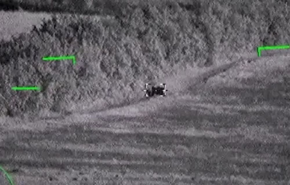 ������ �������: ����-�������� �����������