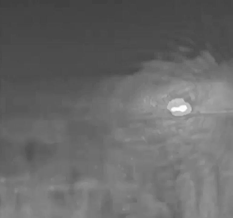 ������ �������: �������� �����������. ������ � ������� ����� ���������� ���������� ��� �����