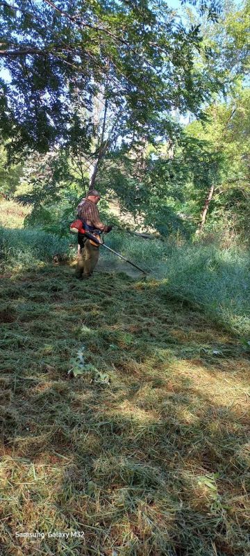 Василий Ткачук: Муниципальным унитарным предприятием администрации г. Донецка "Зеленое строительство Калининского района" продолжается покос травы на территории сквера "КАЛИНИНА" в Калининском районе г. Донецка