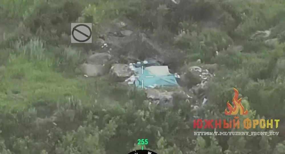 ������� ����� ��� �� �������� ����������� ���� ����� ����������� �����-���������, ����� �� ������ ������