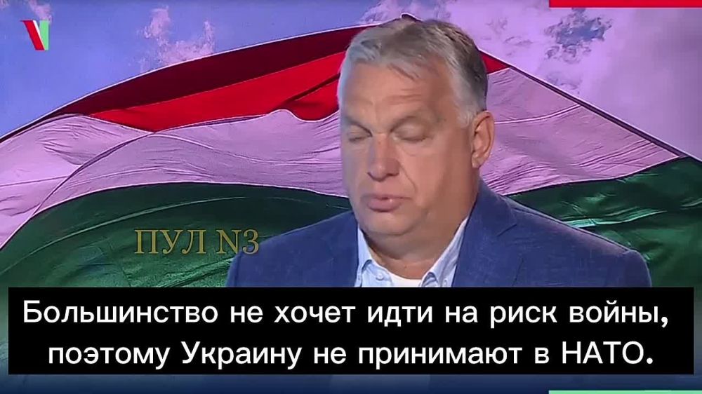Европа выкормила зверя, от которого сама теперь не знает как откреститься