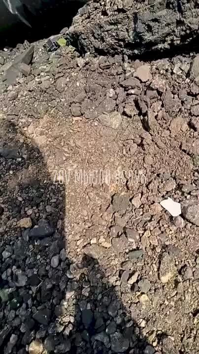 ����� ������������ ������� ��� � ������ ��������� (���������� �����������)