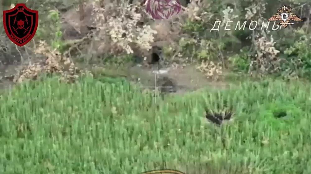 Евгений Лисицын: Российские подразделения активно применяют дроны-камикадзе в Марьинке под Донецком