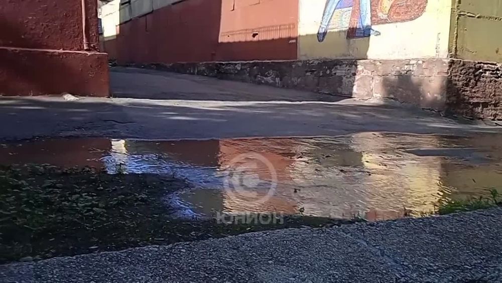 ���� ���� � ������� �������� ���. ������������� �����